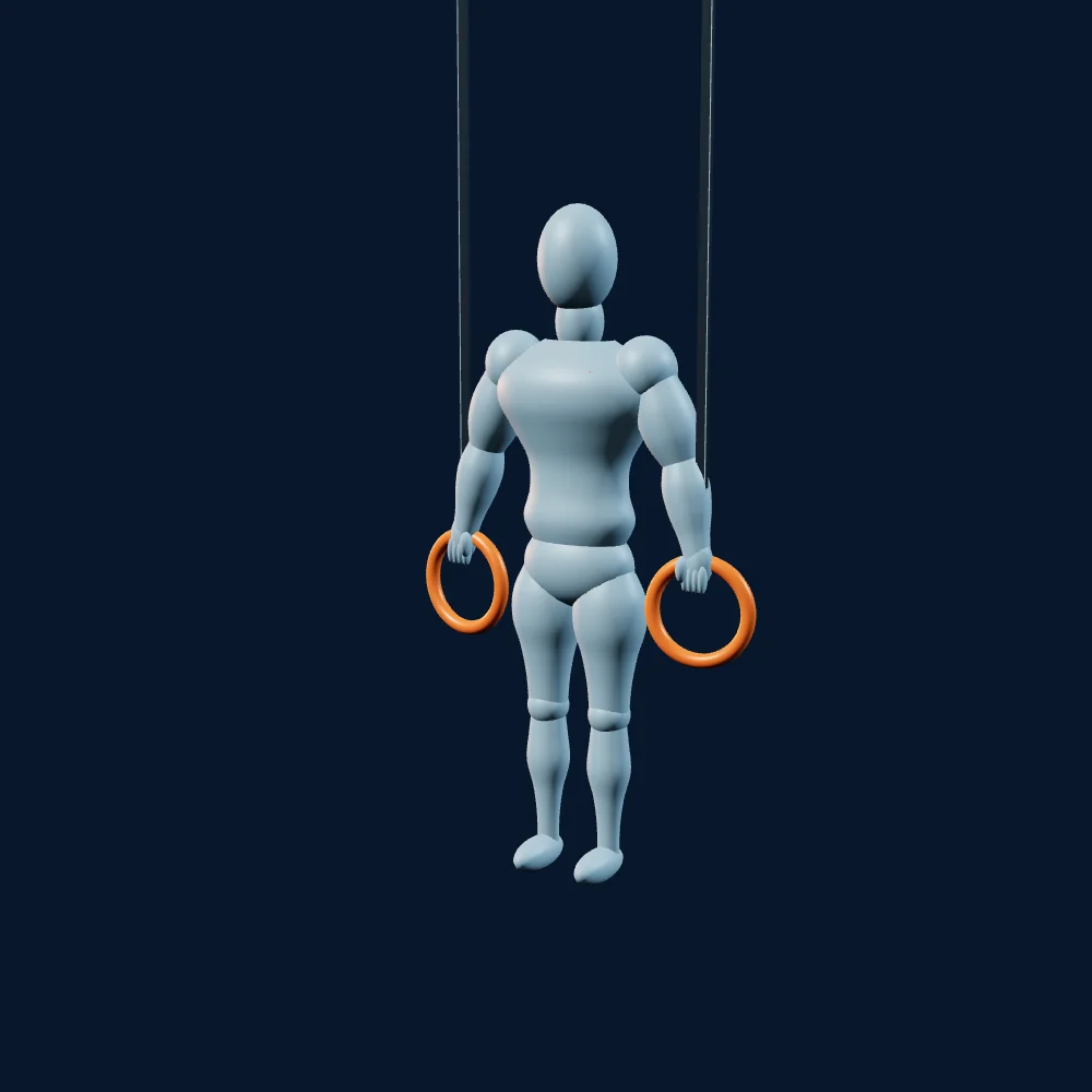 Illustrative figure demonstrating Support on rings
